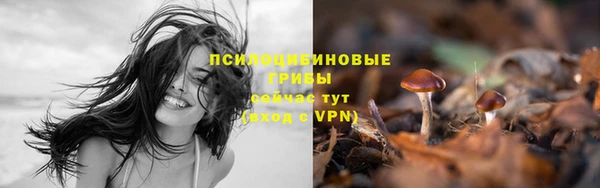 прущие крисы Вязники