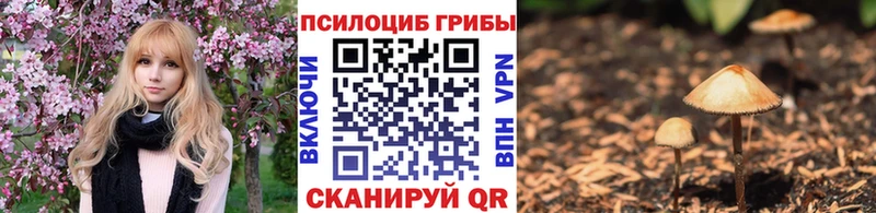 Галлюциногенные грибы GOLDEN TEACHER  Ивдель 